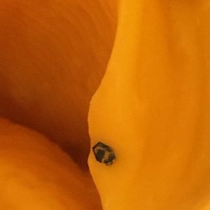 Meet your Posher, Kasper